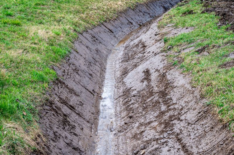 Summer Drainage Checks